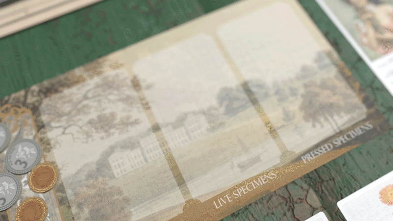 An animated gif of the boardgame Botany shows beautiful cards shuffling onto the board.